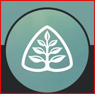 Growing in God’s Word