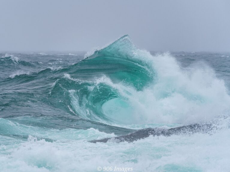 587109888_1406010884449884_6347068739862644532_n