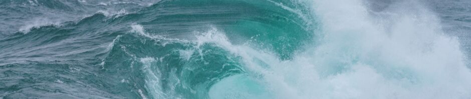 alien life, extraterrestrial, uap, ufo, demons?