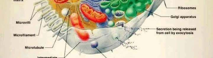 if music is your worship, then where is Christ, where is discipleship and cost